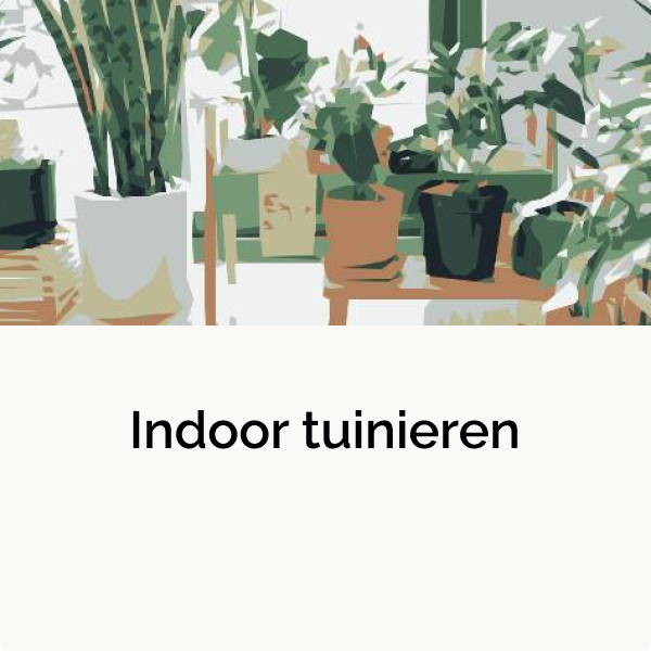 cadeau-tip indoor-gardening
