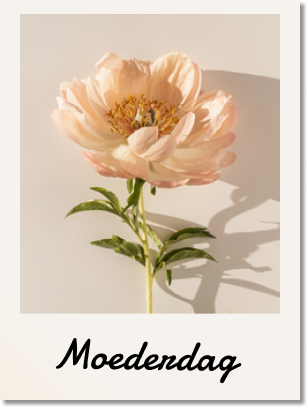 polaroidmoederdag